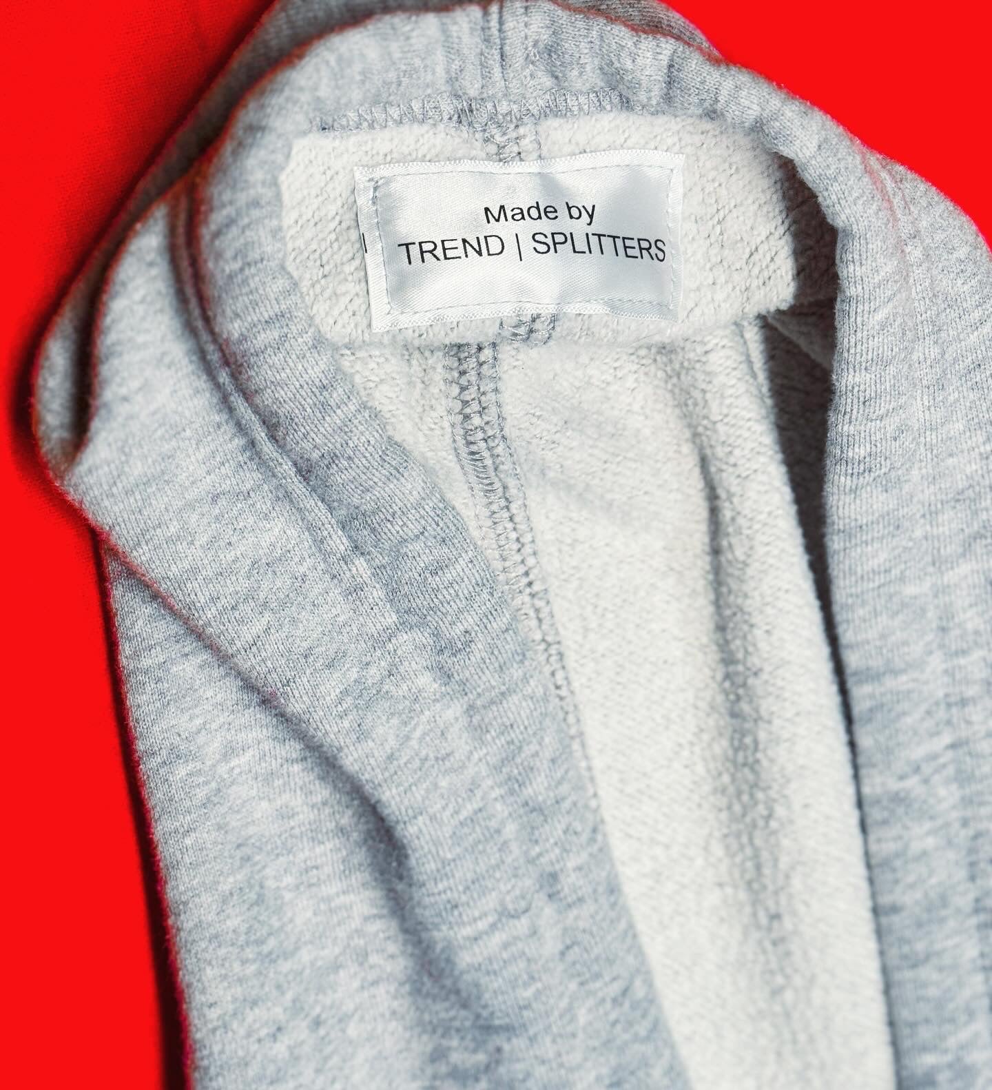 GREY CHAMPION HOODIE (L) ADULT